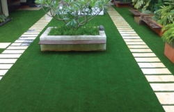 Artificial Grass Carpet Manufacturers in Chennai